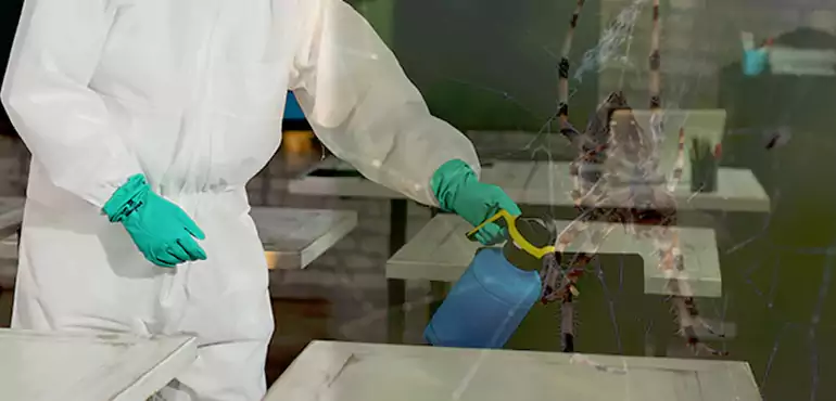 Why Buyers Still Want Homes With Pest Infestations in Fort Collins, CO?