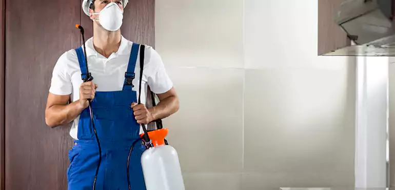 Why Fort Collins Homeowners Choose Us When Pests Make Selling Difficult