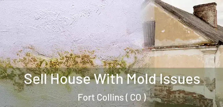 Sell House With Mold Issues Fort Collins ( CO )